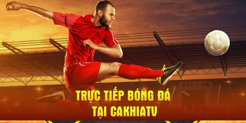 Tìm hiểu các dịch vụ có tại Cakhiatv