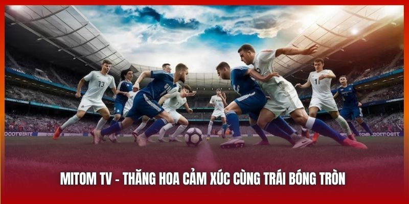 Mitom TV | Thăng Hoa Cảm Xúc Bóng Đá Cùng Trái Bóng Tròn