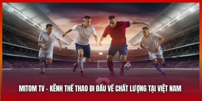 Mitom TV - kênh thể thao đi đầu về chất lượng tại Việt Nam 